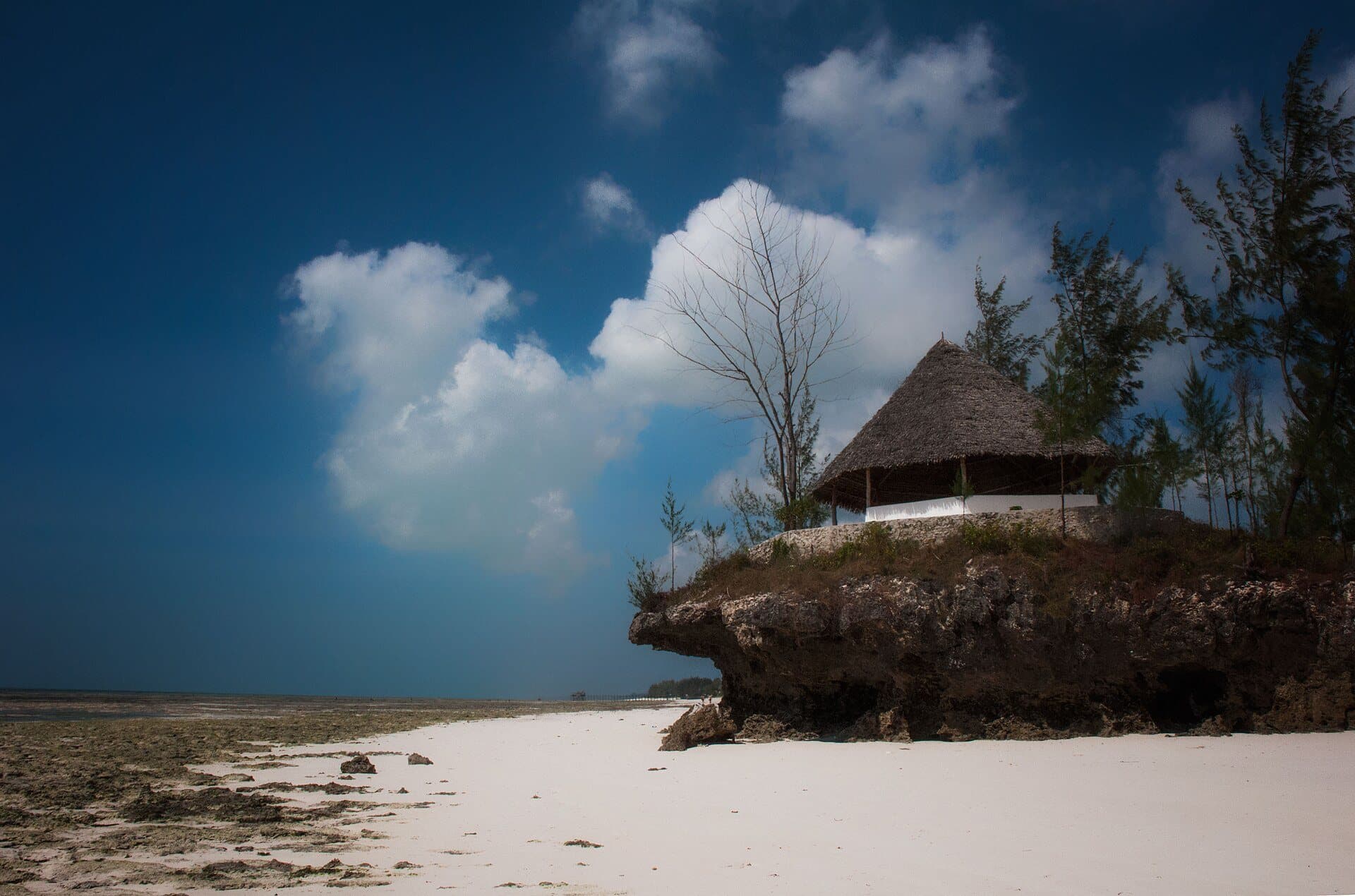 A palm-fringed white-sand beach and turquoise water on Zanzibar