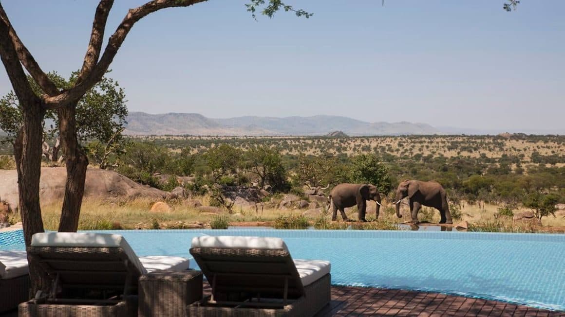 A safari lodge set in the bush