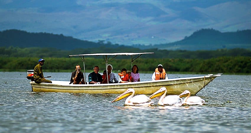 A small boat on Lake Naivasha among hippos and waterbirds