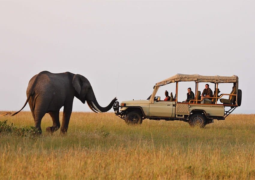A safari vehicle with an open roof on a game drive