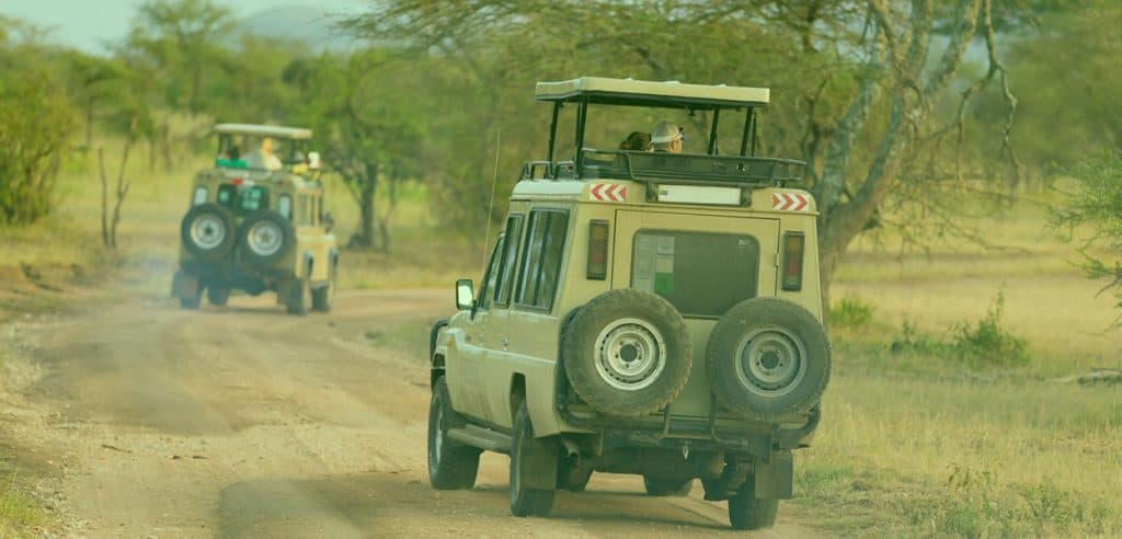 A safari vehicle with an open roof on a game drive
