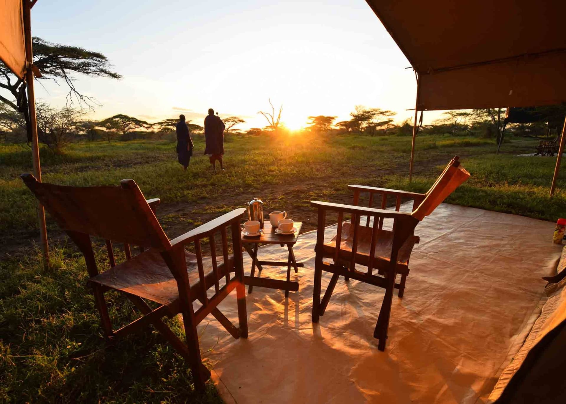 A table set for drinks in the bush as the light goes