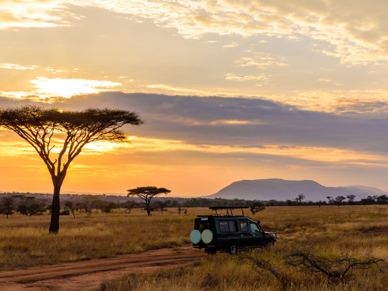 7 days best of kenya lodge safari