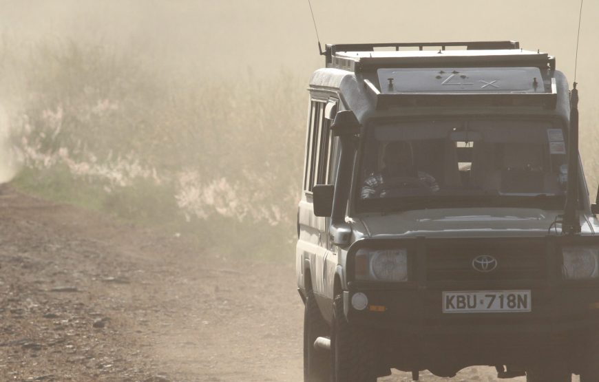 07 Days Best of kenya Lodge safari