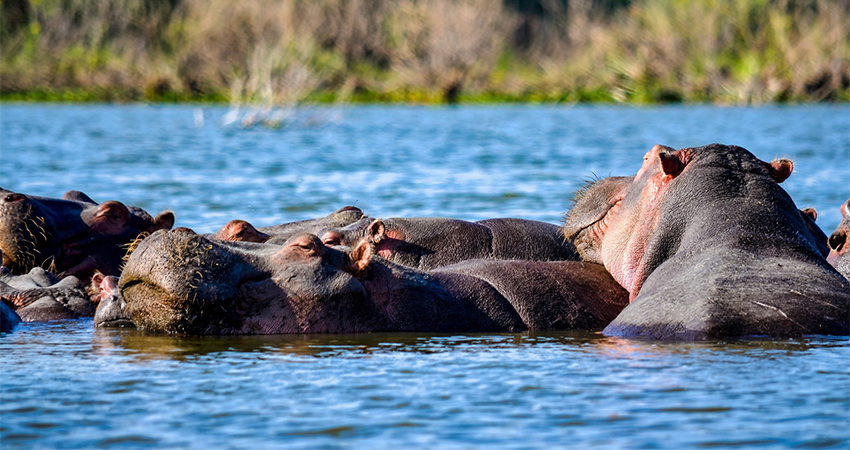 12 days best of kenya private safari samburu